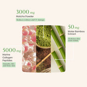Marine Collagen Peptides Matcha