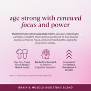 Daily Longevity Blend