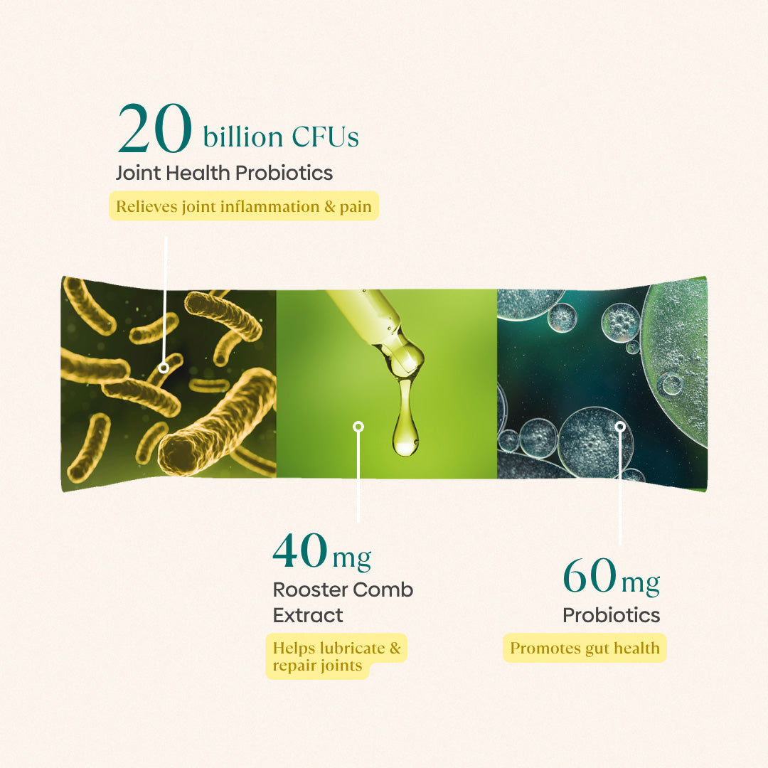 Joint Pre+Probiotic Melts