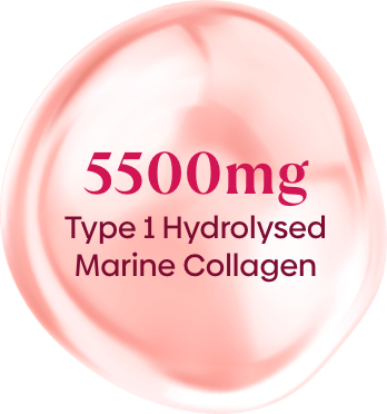 type 1 hydrolysed marine collagen