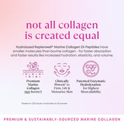 Collagen Glow Flavour Pack