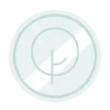 Silver Icon