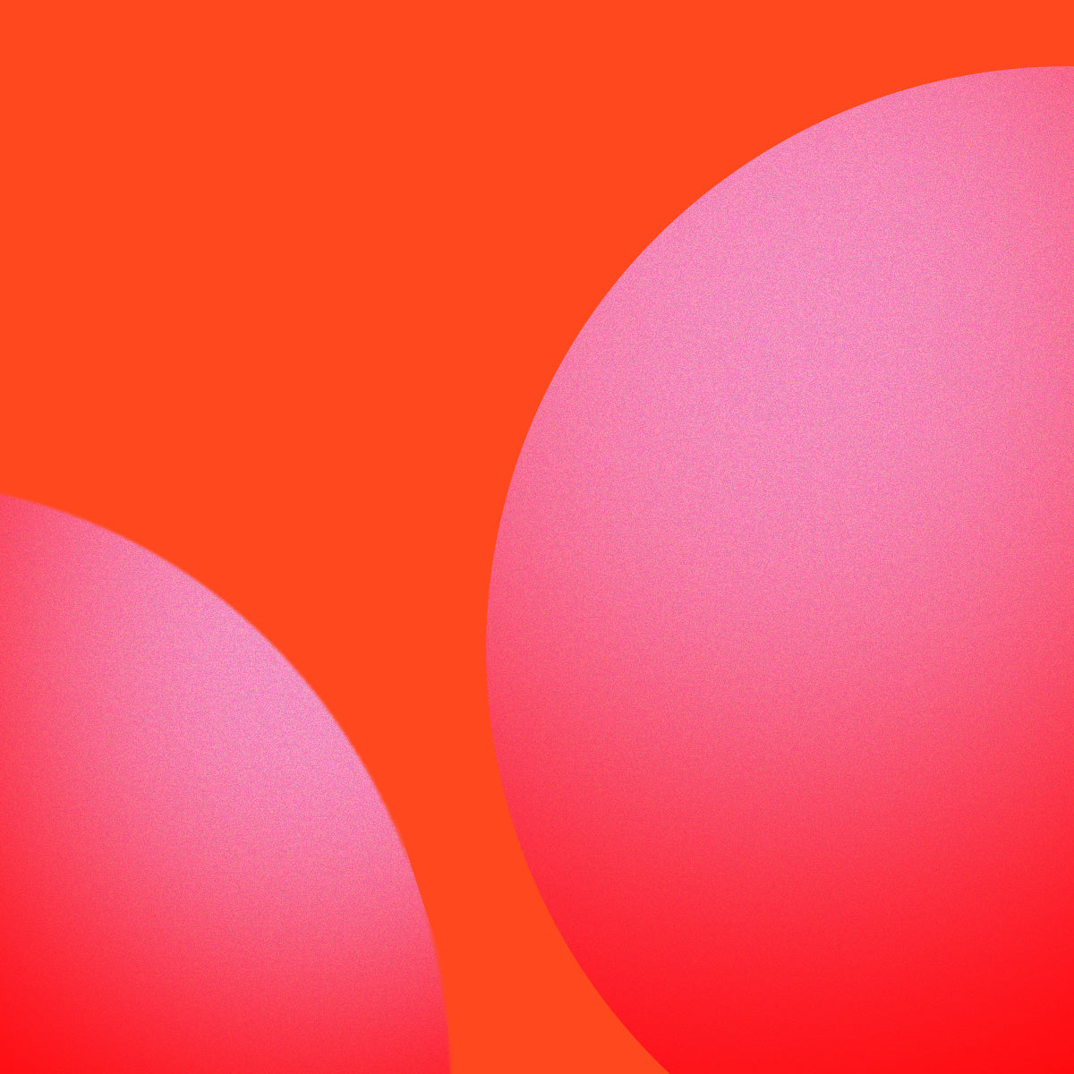 SP_Card-1_63c4d7b4-18e1-4aea-8412-2b222075f6e9.jpg